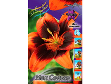 37,4���. ����� ��� ������(�������� ���� �� 5 ��., ����������� ����� 1��.).jpg