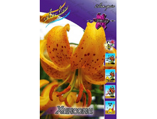 331,1���. ����� �������(�������� ���� �� 2 ��., ����������� ����� 1��.).jpg