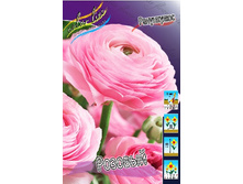 8,88���. ���������� �������(���������� ������ ������ ���������� �� 10 ��.).jpg