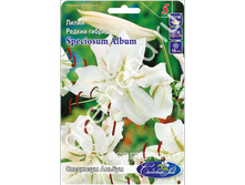 ��������� ������.jpg