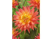 94���. �������� ����� ������(�������� ���� �� 1 ��., ����������� ����� 1��.)���15.jpg