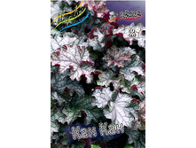 156,35���. ������� ��� ���(�������� ���� �� 2 ��., ����������� ����� 1��.).jpg