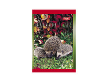 ������� �7 40�. �� ������ �������� ������, ������������ ���� 7,25.jpg