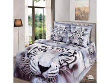 ����� ������.jpg