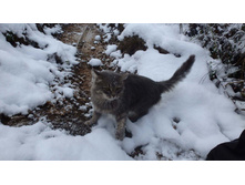 ������� ������. ��� �� ���� 5 ��.