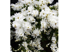 145���. ��������� ������������� �� �����.jpg