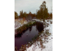 IMG 20151011 085618.jpg