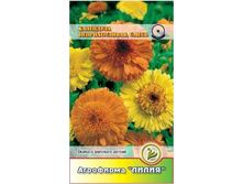 ��������� ������������� ����� ����������	0,5	4,50 ���.