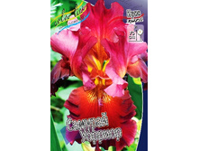 95,3���. ���� ���������� ������� �������(�������� ���� �� 2 ��., ����������� ����� 1��.).jpg