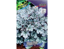 172,95���. ������� ������(�������� ���� �� 2 ��., ����������� ����� 1��.).jpg