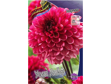 84,8���. �������� ���� ����(�������� ���� �� 1 ��., ����������� ����� 1��.).jpg