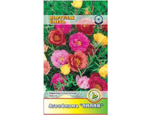 �������� ����� ���������� 	0,1	7,00 ���.