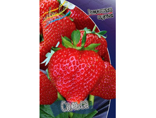 30,7���. ��������� ������� ������(���������� ������ ������ ���������� �� 5 ��.).jpg