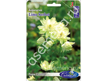 ���� ������.jpg