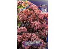 163,4���. ������ ����� ���(�������� ���� �� 1 ��., ����������� ����� 1��.).jpg