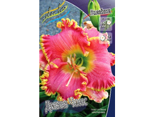 246,4���. �������� ����� ����(�������� ���� �� 1 ��., ����������� ����� 1��.).jpg