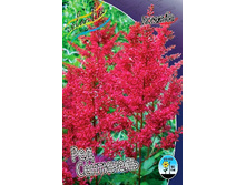 77,2���. �������� ��� ���������(�������� ���� �� 1 ��., ����������� ����� 1��.).jpg