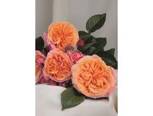 ���� ��� 220���. (����� �������� ��� 20��.).jpg