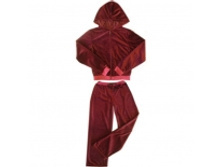 �������� ������� �-387