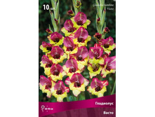 ��������� ������� �����.jpg