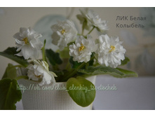 ��� ����� ��������