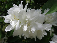 �������� ��� �����-144