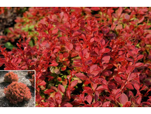 �������� �������� ������ 207�.jpg