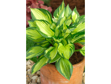 196,6���. ����� ������� ����(�������� ���� �� 1 ��., ����������� ����� 1��.)���15.jpg