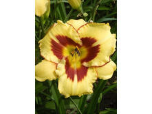 122���. �������� ��� ���������(�������� ���� �� 1 ��., ����������� ����� 1��.).jpg