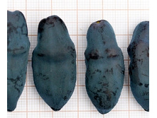 192���. ��������� ���������� ���������.jpg