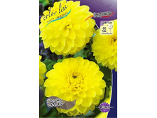 69,1���. �������� ����(�������� ���� �� 1 ��., ����������� ����� 1��.).jpg