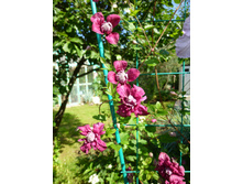 �������� ����� �������