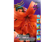 40,86���. ����� ������ ��������(�������� ���� �� 5 ��., ����������� ����� 1��.).jpg