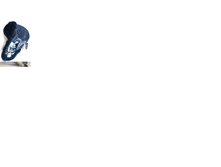 ����������18.png