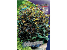 86,7���. ��������� ����������(�������� ���� �� 2 ��., ����������� ����� 1��.).jpg