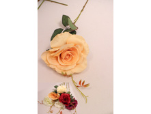 401/5714� ���� ------ ������ 25% !