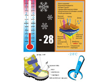 SC-26022 1-500x500.jpg