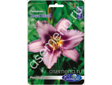 ���� �����.jpg