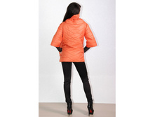 ������ Emmy (���������) ������.jpg