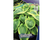 196,6���. ����� ��������(�������� ���� �� 1 ��., ����������� ����� 1��.).jpg