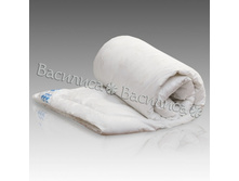 ������ ������� ���.jpg