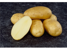 ��������� �����, 64���. �� 1��. (�����)