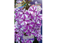 87,67���. ����� ������(�������� ���� �� 3 ��., ����������� ����� 1��.).jpg