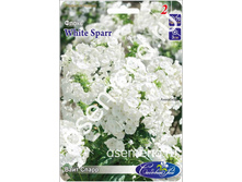 ���� �����.jpg