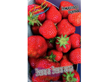 22,74���. ��������� ������� ����� �������(���������� ������ ������ ���������� �� 5 ��.).jpg