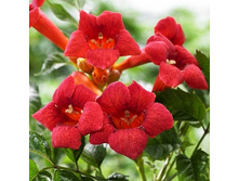 203���. ������� ������������� ��������.jpg