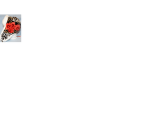 ���������12.png