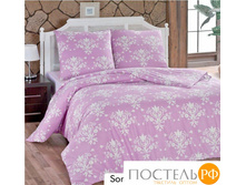 Classi alt73537 1=1559�.jpg