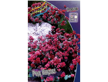 155,1���. ������ ��� �����(�������� ���� �� 1 ��., ����������� ����� 1��.).jpg