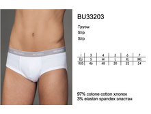 BU33203 enl.jpg
